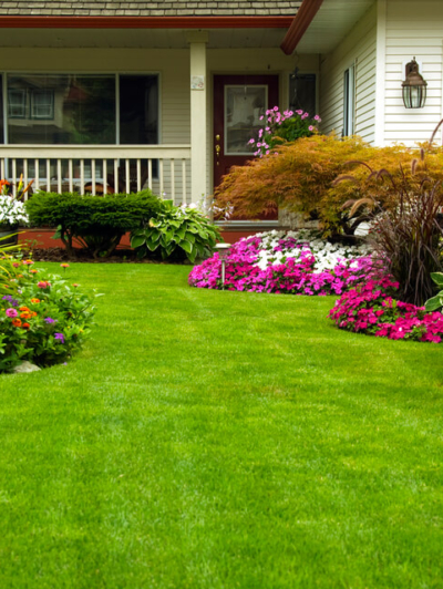 como-escolher-as-plantas-de-jardim-ideais-para-minha-casa